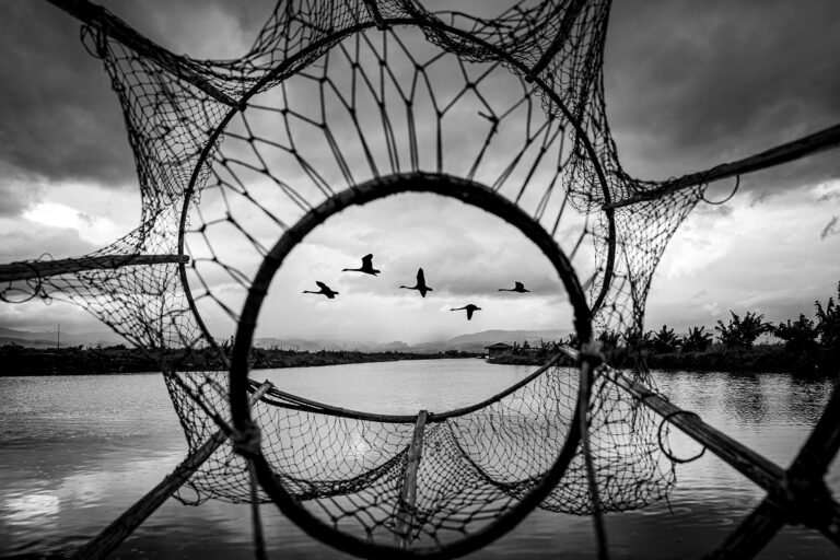 Moments in Black and white - Net